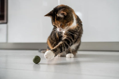 ROSEWOOD CAT NATURALS MINI CATNIP BALLS