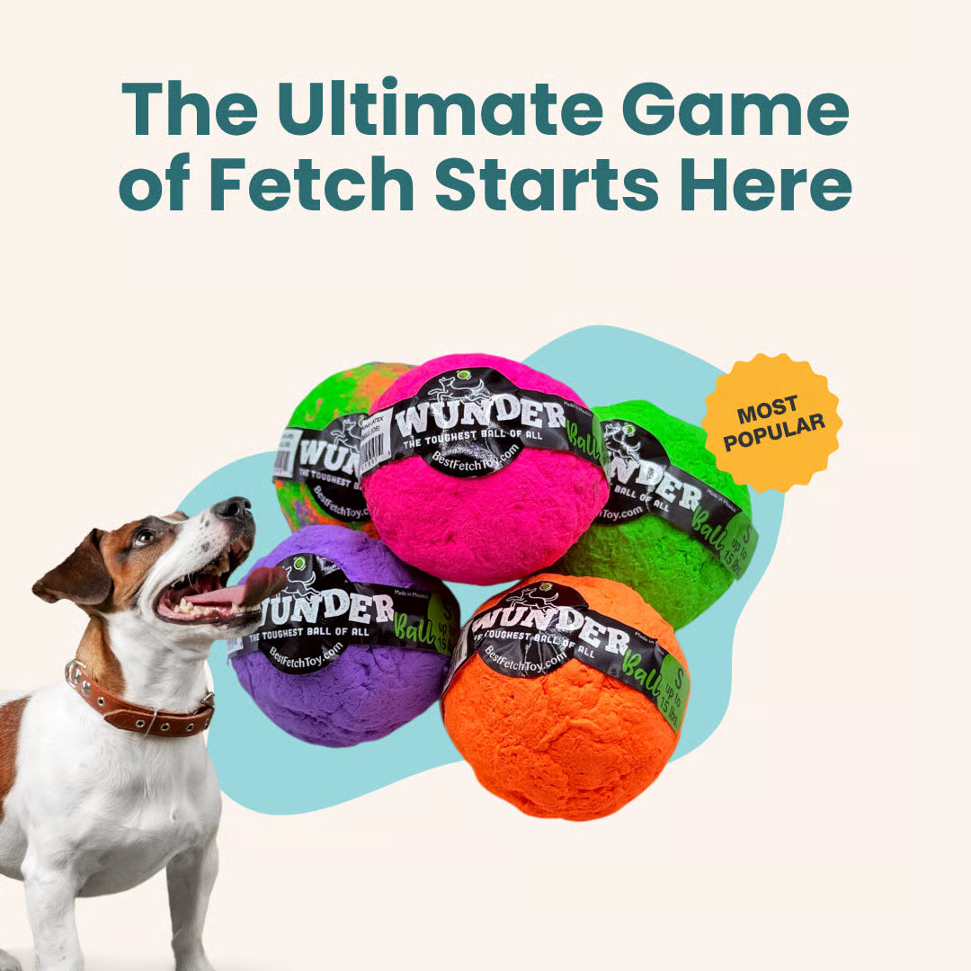 WUNDERBALL DOG TOY