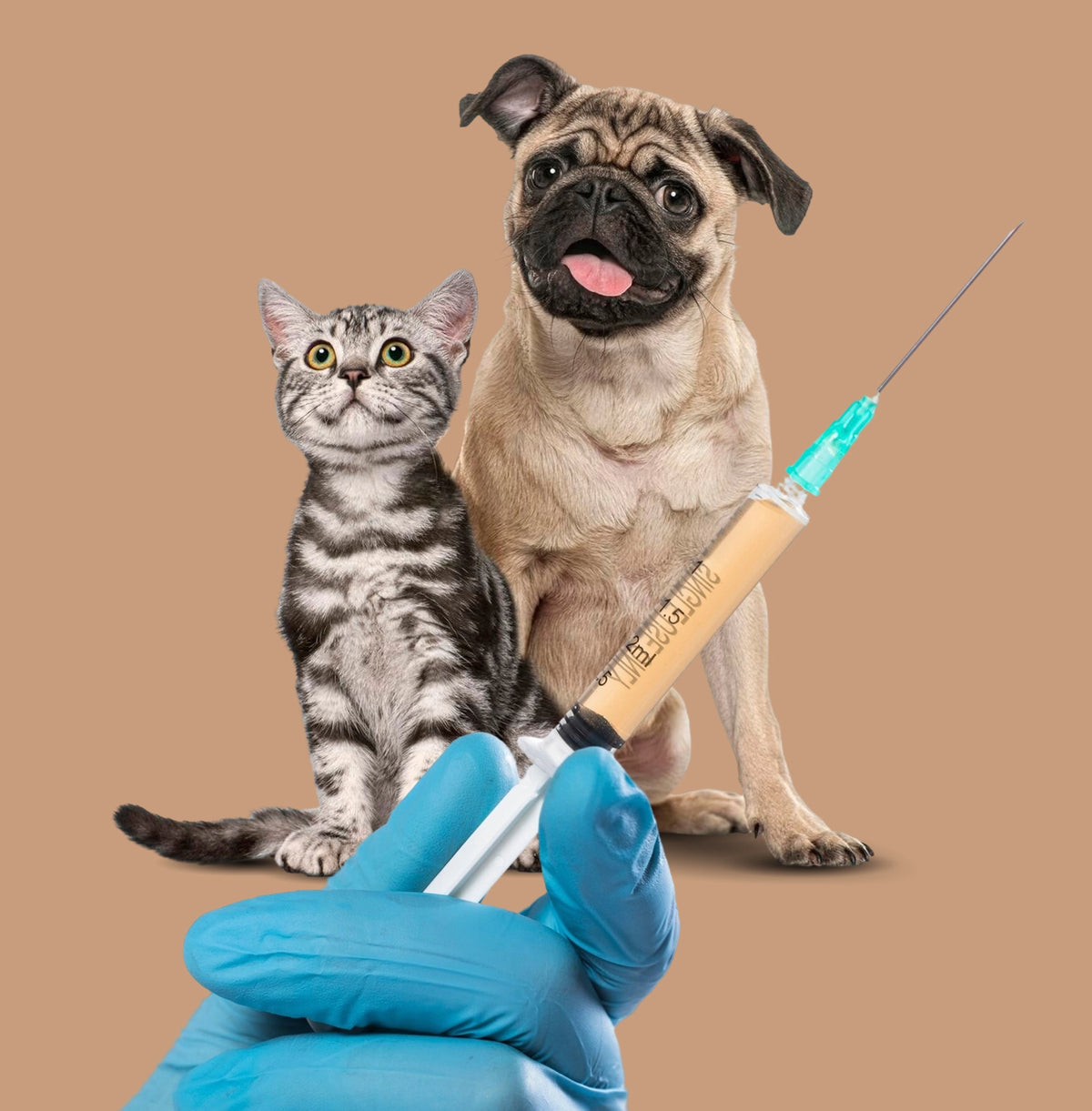 Health Check Up and Vaccinations SERVICES