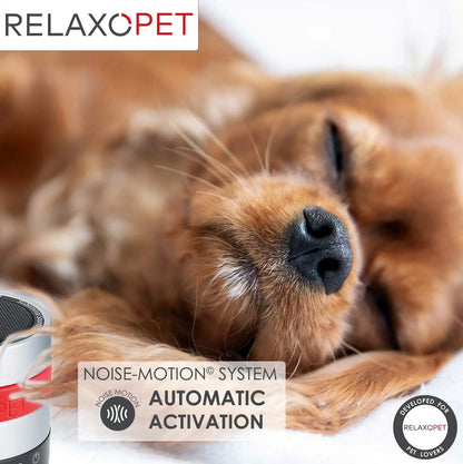 RelaxoPet anxiety relief Training device for dogs with noise-motion automatic activation system
