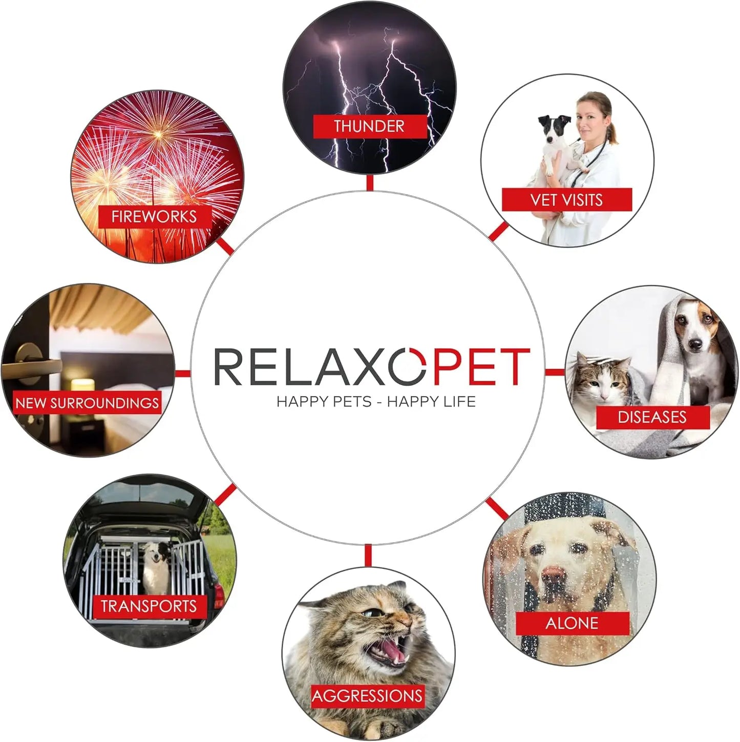 RelaxoPet anxiety relief training device for dogs helping with thunder, fireworks, vet visits, diseases, etc.
