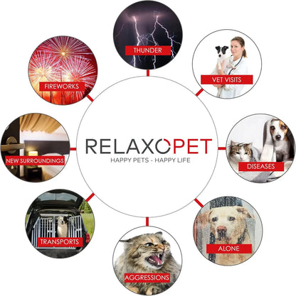 RelaxoPet anxiety relief training device for dogs helping with thunder, fireworks, vet visits, diseases, etc.