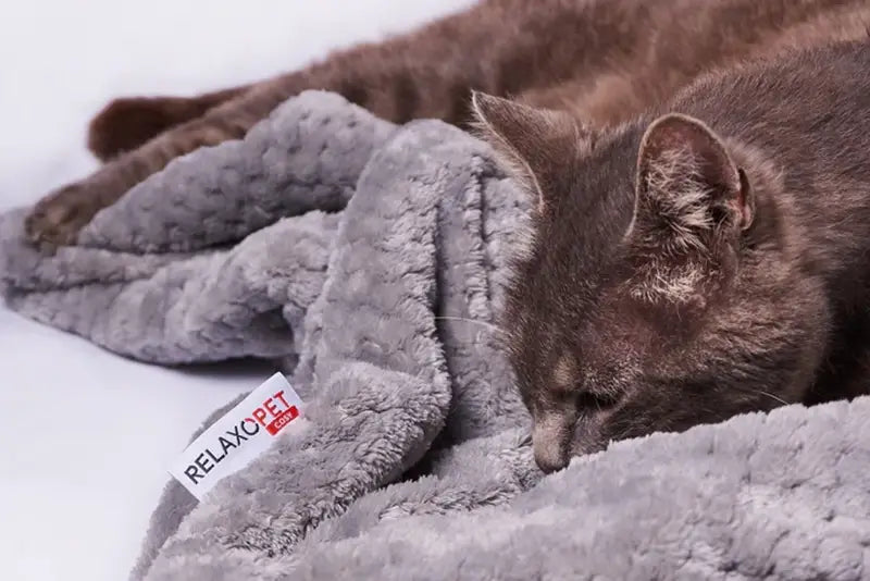 RelaxoPet stress relief blanket for anxious pets with soft gray textured fabric and resting cat