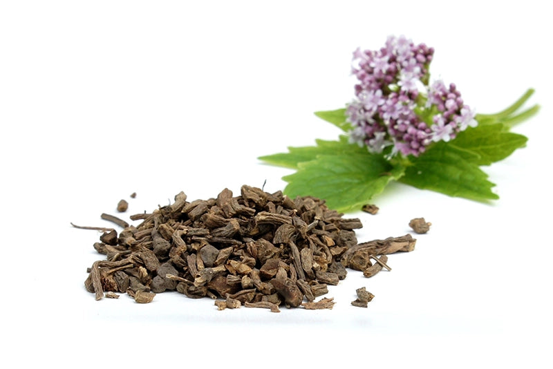 RelaxoPet bedding infused with stress relief fragrance for dogs featuring natural calming herbs and flowers